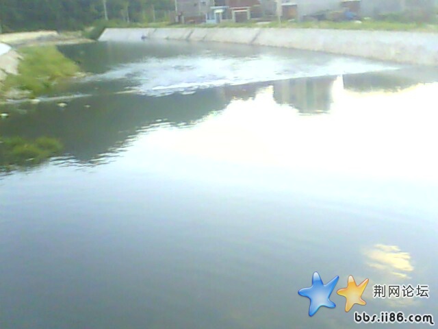 IMG0618A.jpg