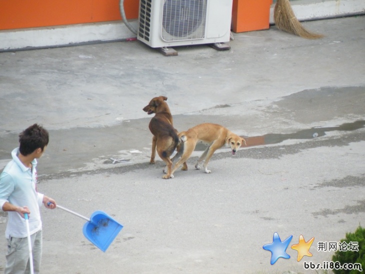 20081007_7ce43d109d9290e32c007tLDjbMLoboE.jpg