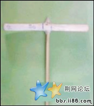 竹蜻蜓.jpg