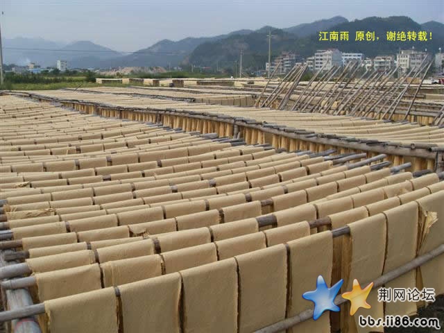 SDC11853.JPG