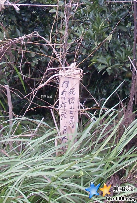 大荆第一.JPG