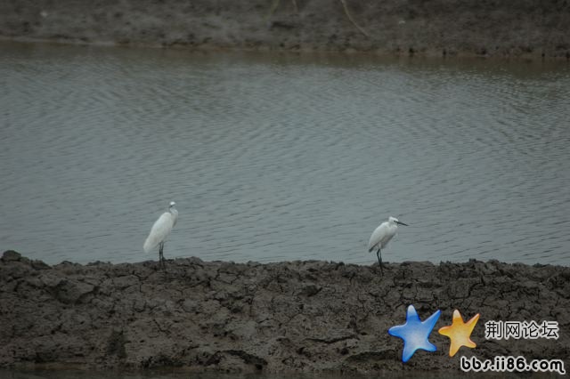 DSC_6677.jpg