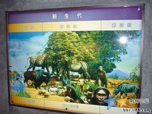 DSC05168.JPG
