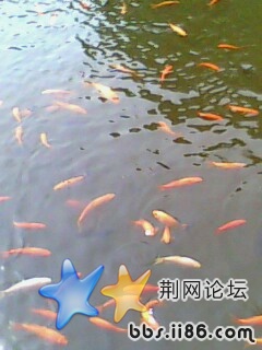 IMG0097A.jpg
