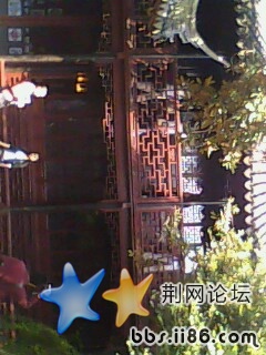 IMG0096A.jpg