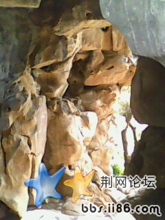 IMG0100A.jpg