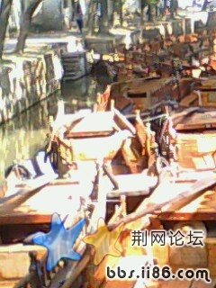 IMG0094A.jpg