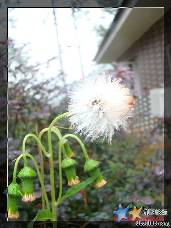 DSC03235_nEO_IMG.jpg