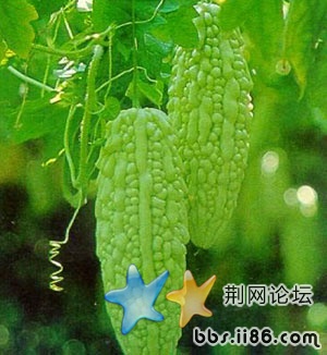 foodimg20080402082830.jpg