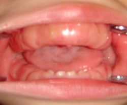 2008103101.jpg