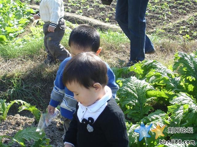 DSC00603.JPG