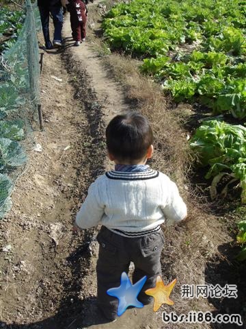 DSC00586.JPG