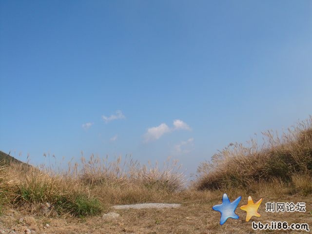 DSC06199.JPG