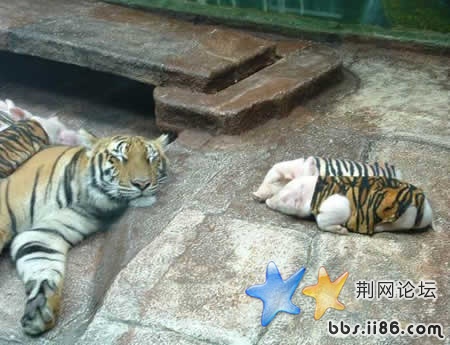 ?好象在哪里见过?