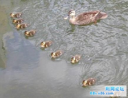 瞭望.jpg