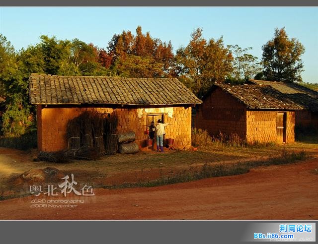 42_6973_9b56698a9267c7e[1].jpg
