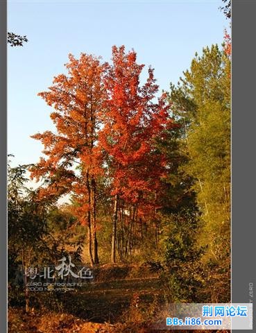 42_6973_0a69d2cc2c6d79b[1].jpg
