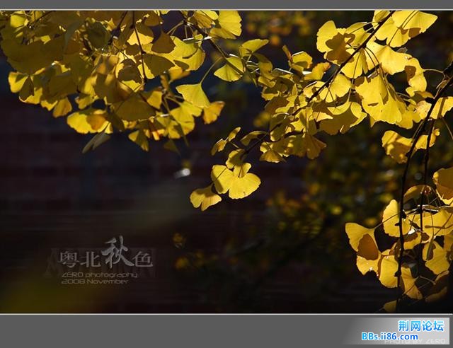 42_6973_bdb508e0777f6b7[1].jpg