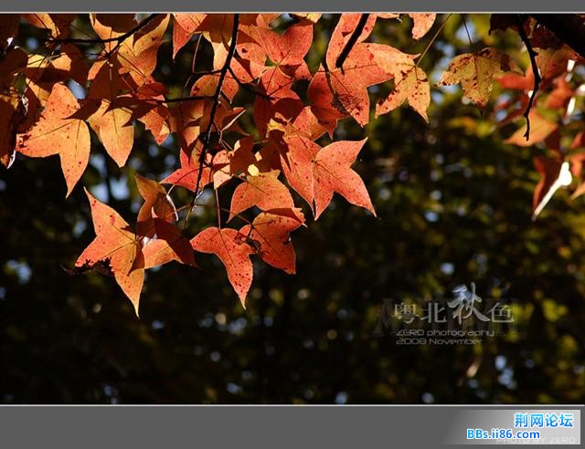 42_6973_15dbb3f6d2216ac[1].jpg