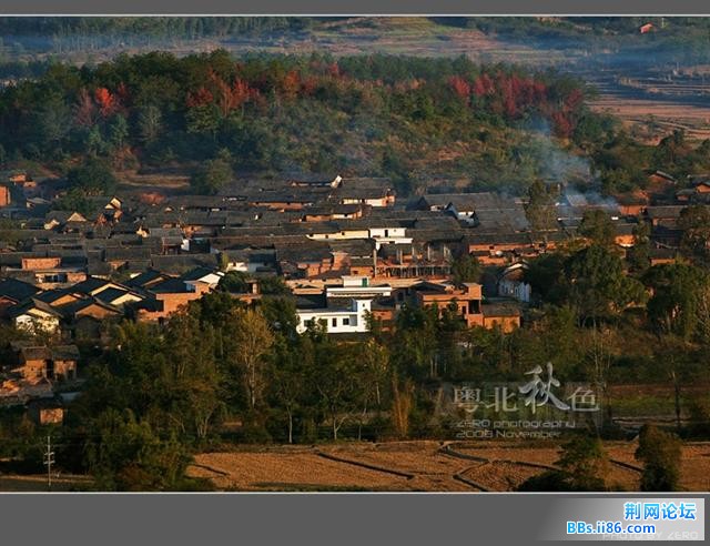 42_6973_af97218bb464013[1].jpg