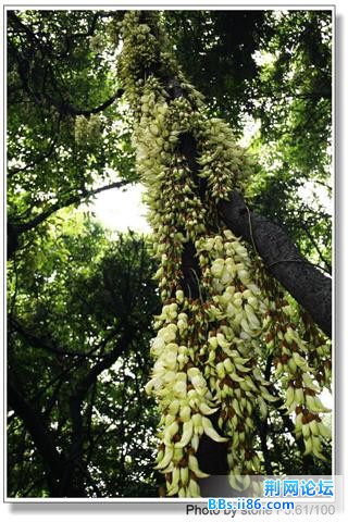 42_236885_27e9fc409641e48[1].jpg