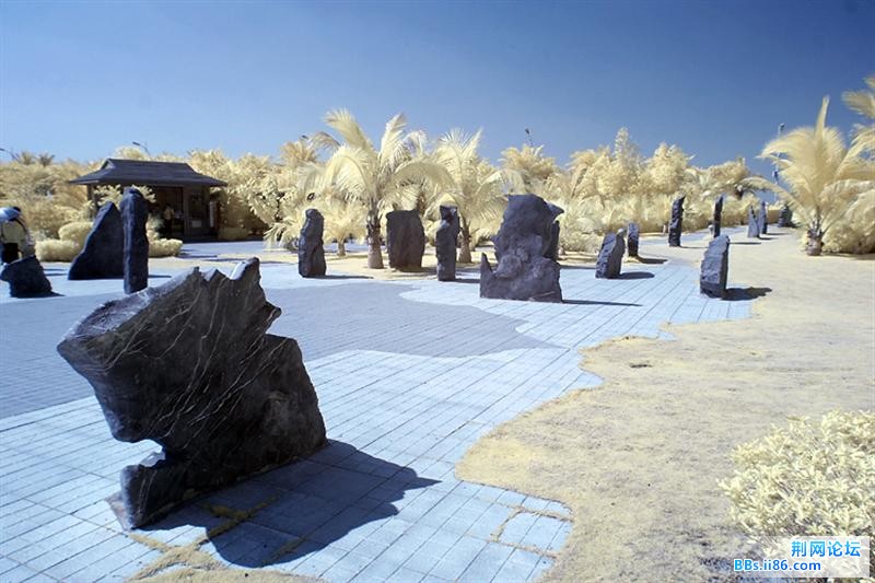 8 (中等).jpg