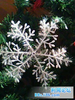 IMG0146A.jpg