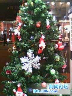 IMG0142A.jpg
