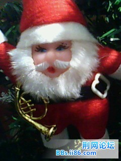 IMG0145A.jpg
