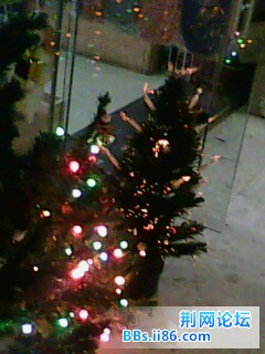 IMG0147A.jpg
