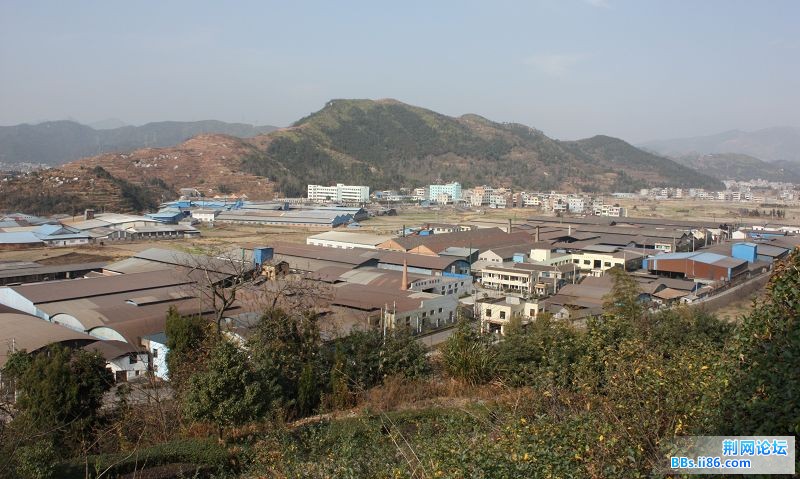 IMG_0050.JPG