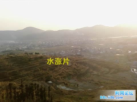 SP_A0137.jpg