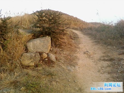 SP_A0156.jpg