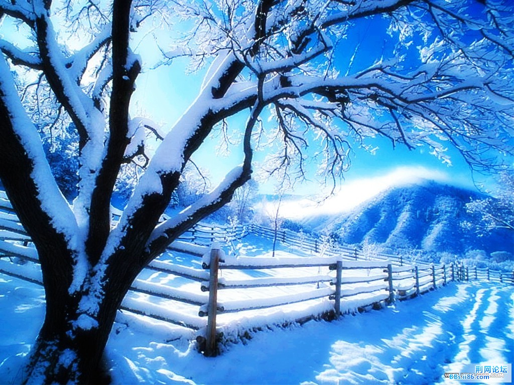 051012snow18[1].jpg