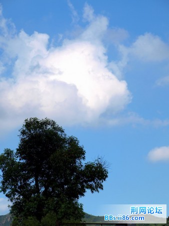 P7171769_2.jpg