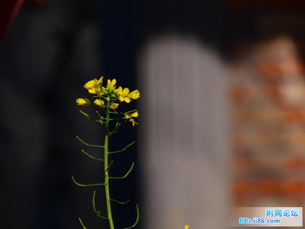 PC024098.JPG