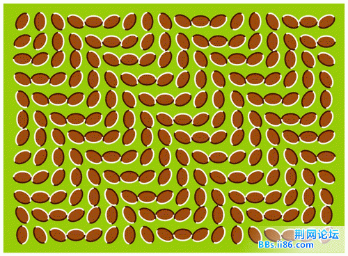 20080610_0ce2ef21851b14238d5feJp88UXmCnks[1].gif