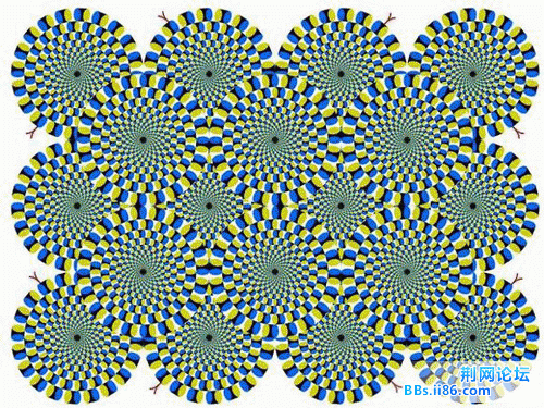 20080610_5943028c634fead4d73dITJf9cZVigNN[1].gif