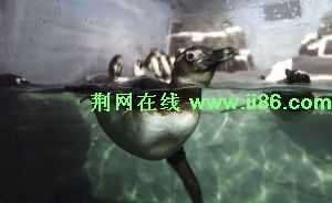 F03DC966F734A46BD8CDC8168D3CD1CE.jpg
