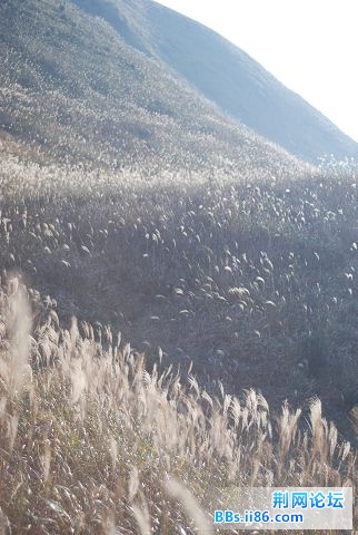DSC_0404.JPG