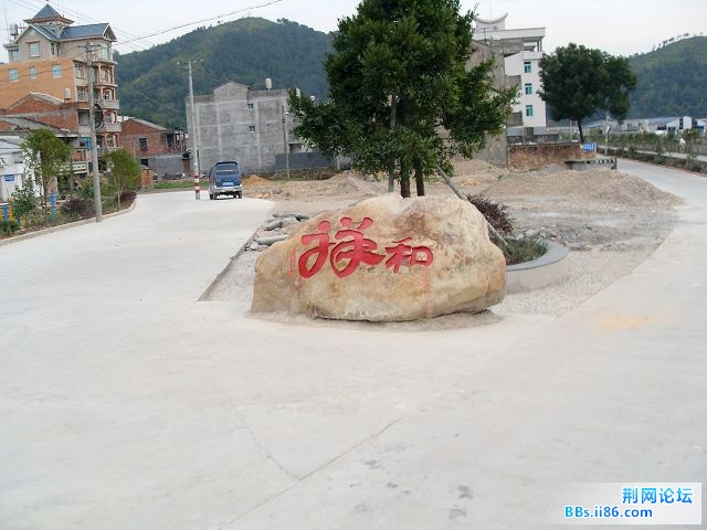 SDC12255.jpg