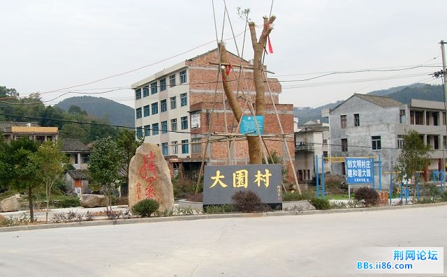 SDC12254.jpg