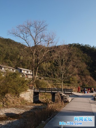 P1025193.JPG