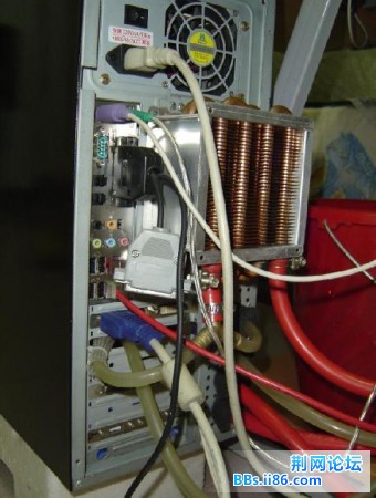 20090104_4611202ddff9b9e03186tx7Cb17wJnwy[1].jpg