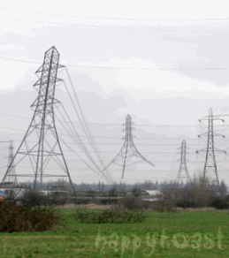 20090104_62931907c3ddd932dbdd8JMjnooJAdwh[1].gif