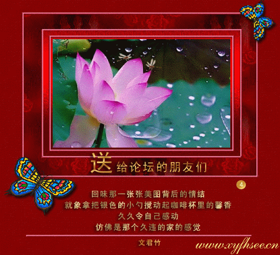 20080426_160d1d77b9fda914b1aaIHdT1kl1S6ye.gif
