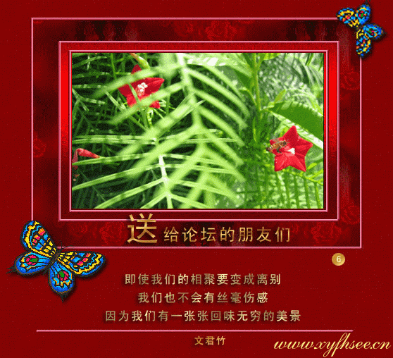20080426_6ffe3e64ed4c403bf348PabjzXfPk5Xd.gif