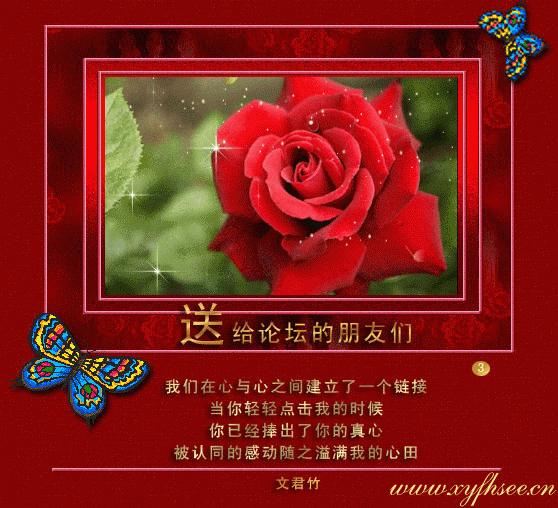 20080426_c20a81980a5c2abc346eFqcrtUgLNf8o.gif