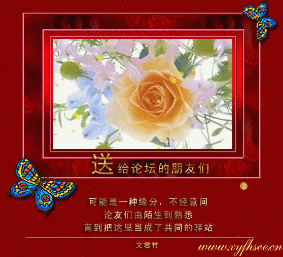 20080426_dedd851a09ca60df4135aedbl5osxtYu.gif