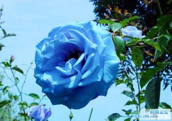 13_419_1ce5d1db492497c.jpg